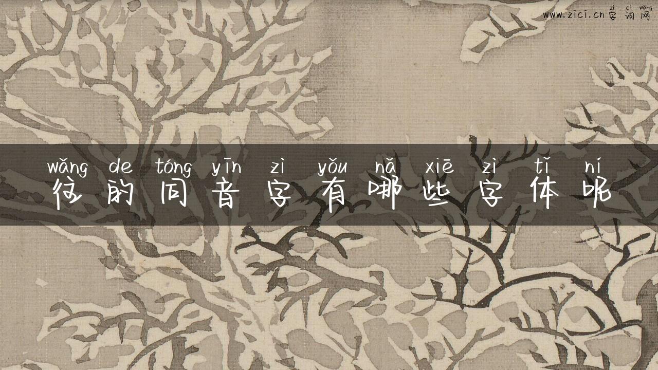 往的同音字有哪些字体呢