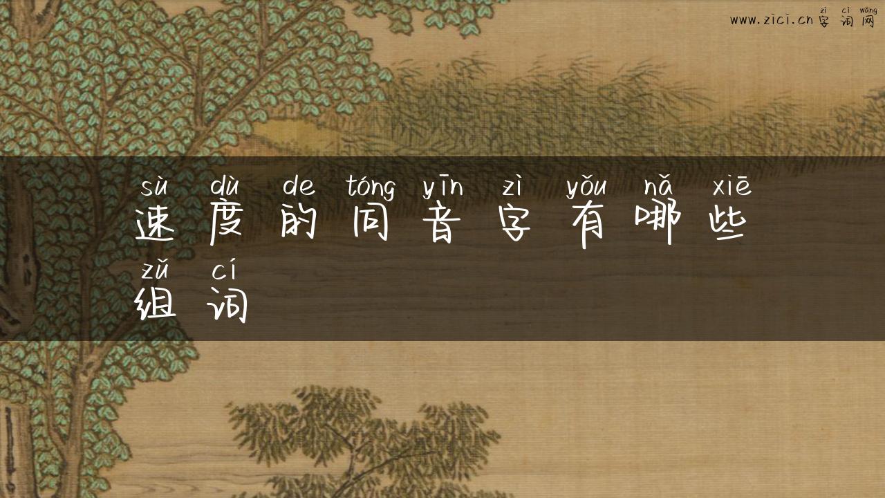 速度的同音字有哪些组词