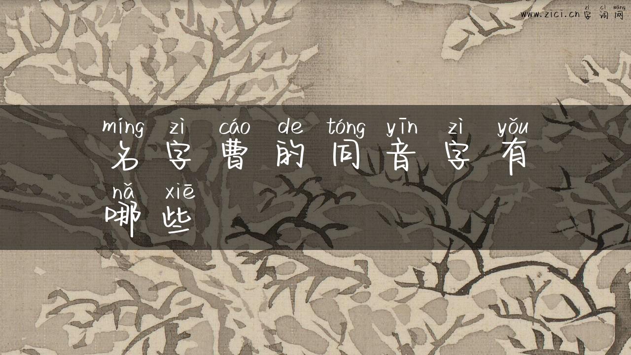 名字曹的同音字有哪些