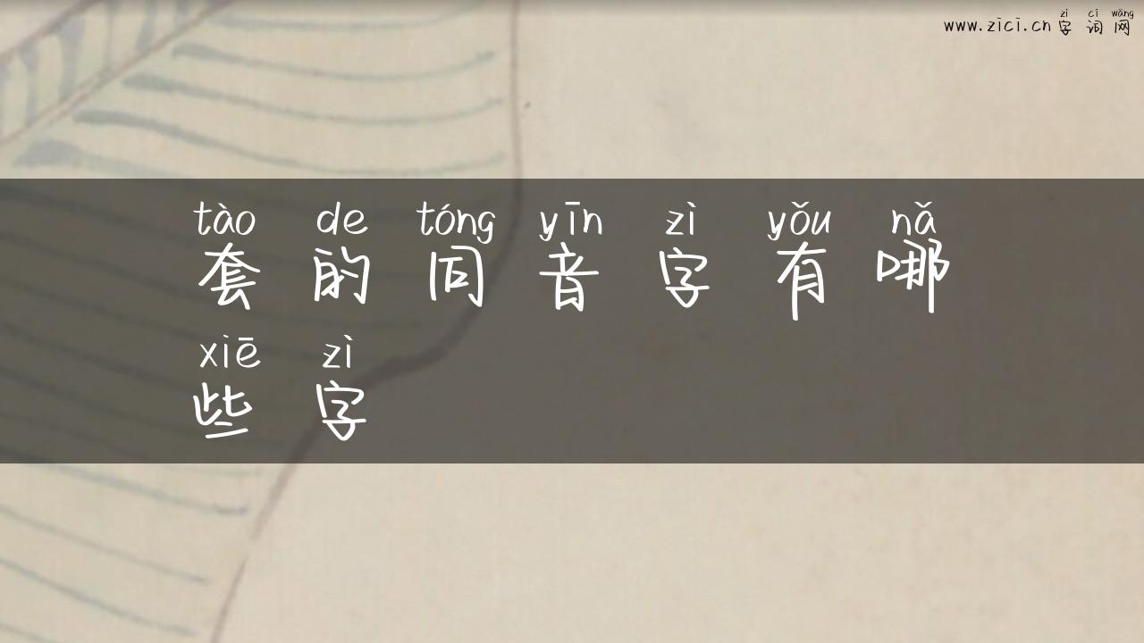 套的同音字有哪些字