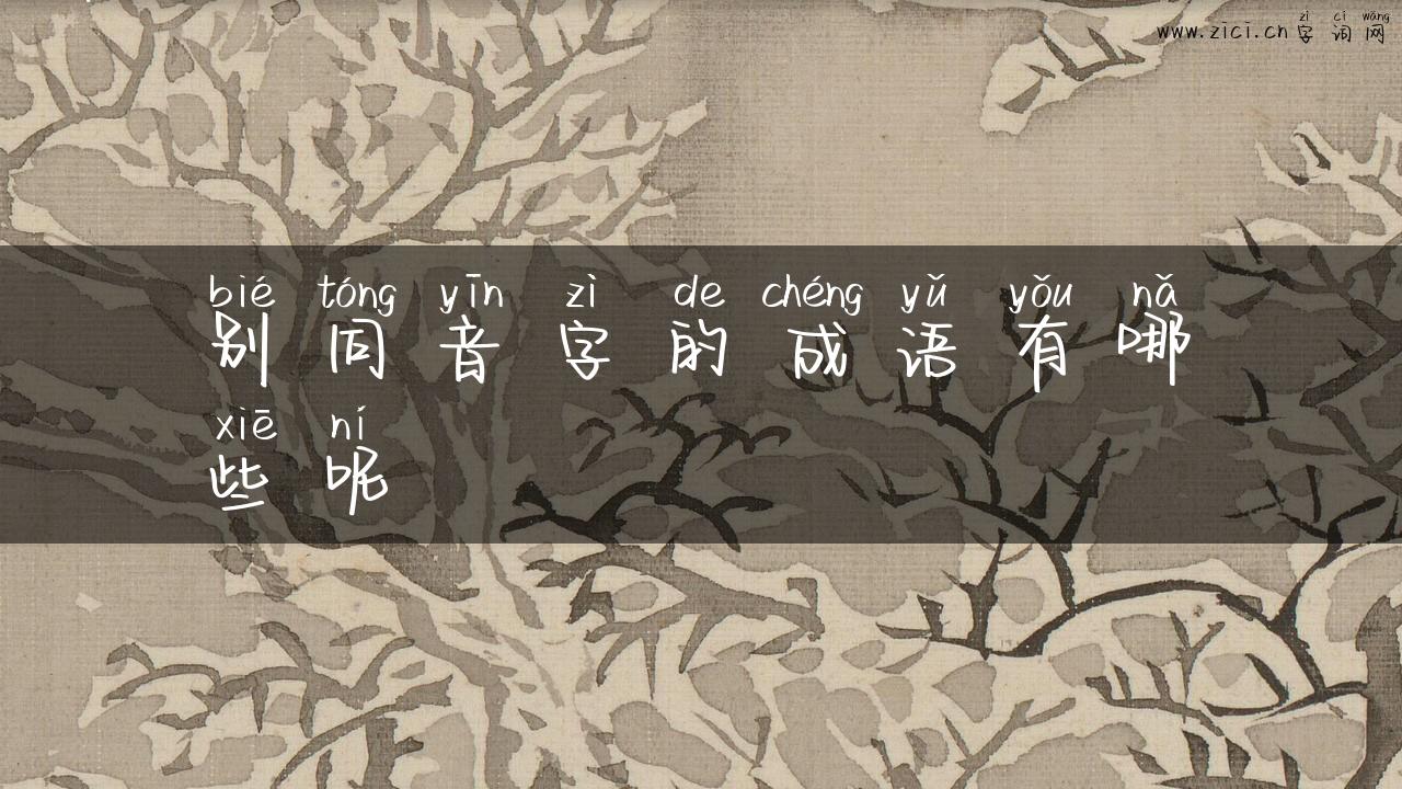 别同音字的成语有哪些呢
