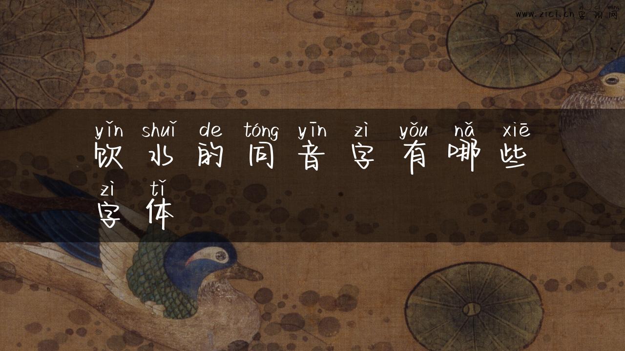 饮水的同音字有哪些字体