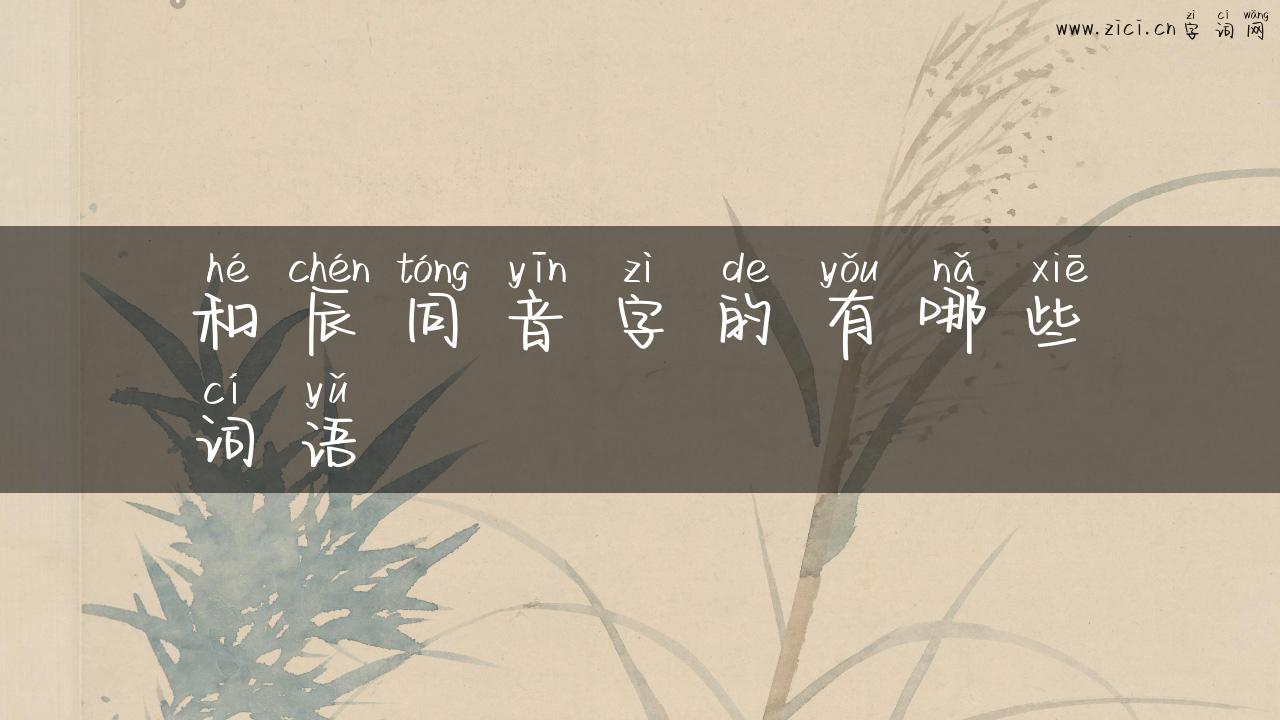 和辰同音字的有哪些词语