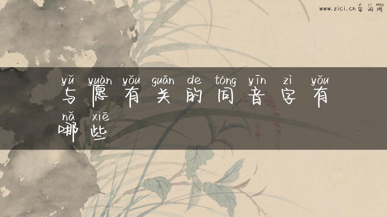 与愿有关的同音字有哪些