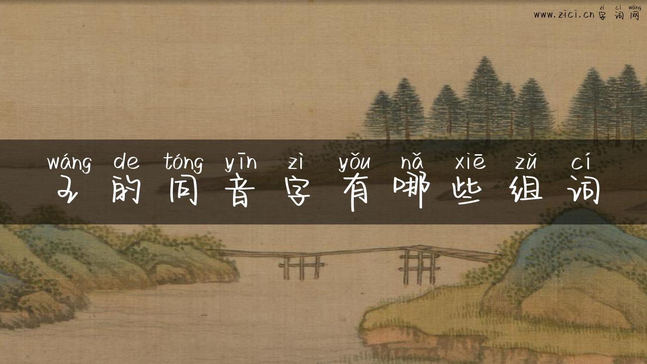 王的同音字有哪些组词