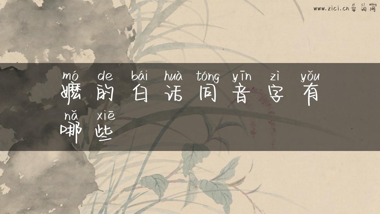 嬷的白话同音字有哪些