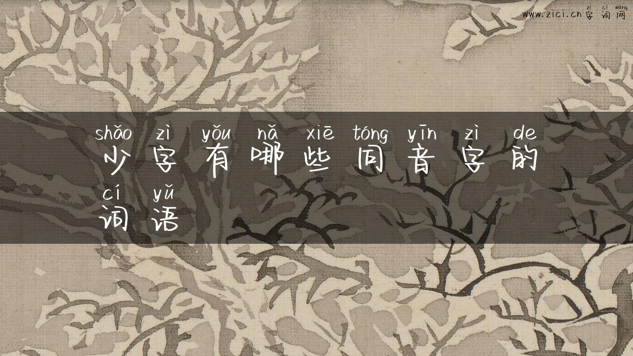 少字有哪些同音字的词语