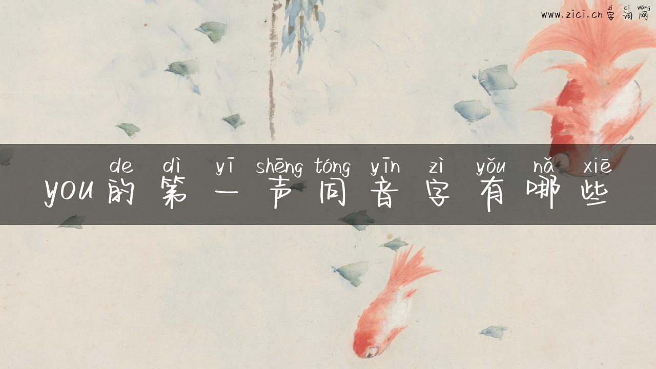 you的第一声同音字有哪些