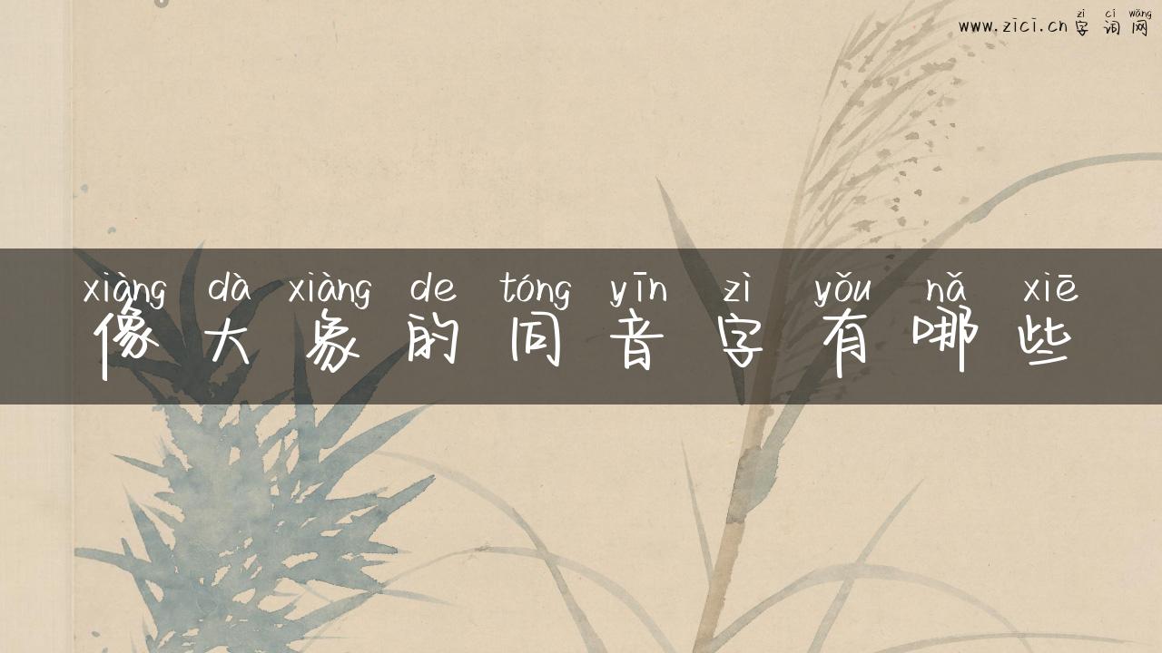 像大象的同音字有哪些