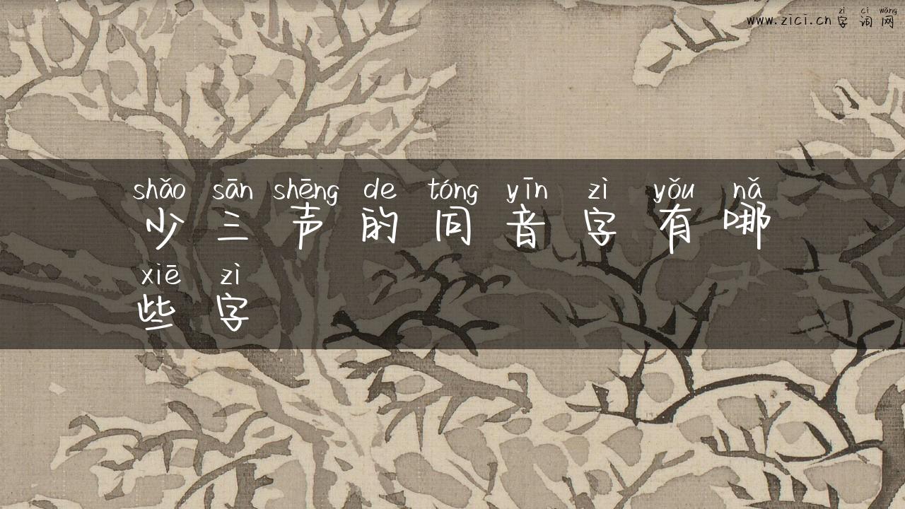 少三声的同音字有哪些字