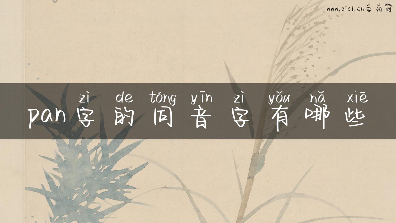 pan字的同音字有哪些