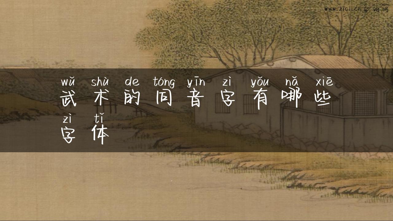 武术的同音字有哪些字体