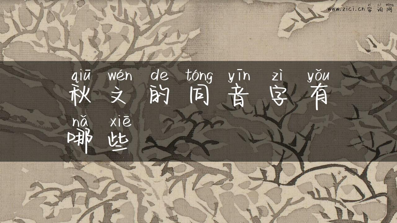秋文的同音字有哪些