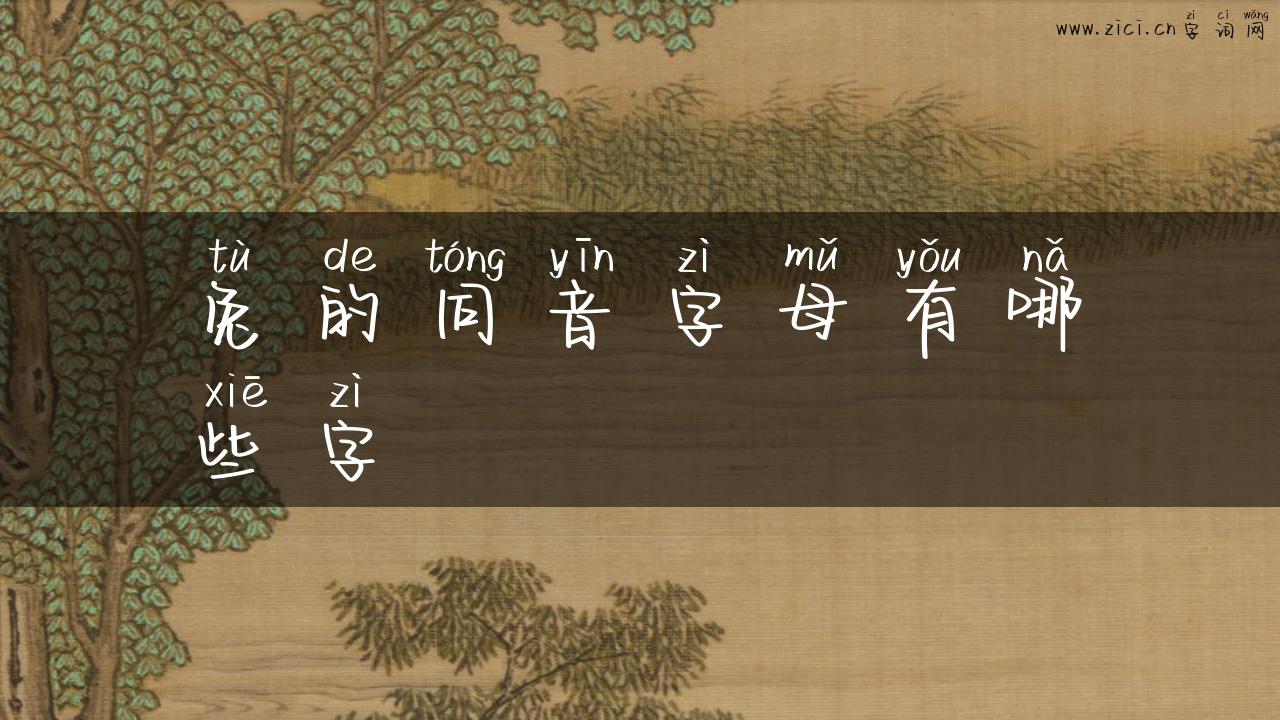 兔的同音字母有哪些字