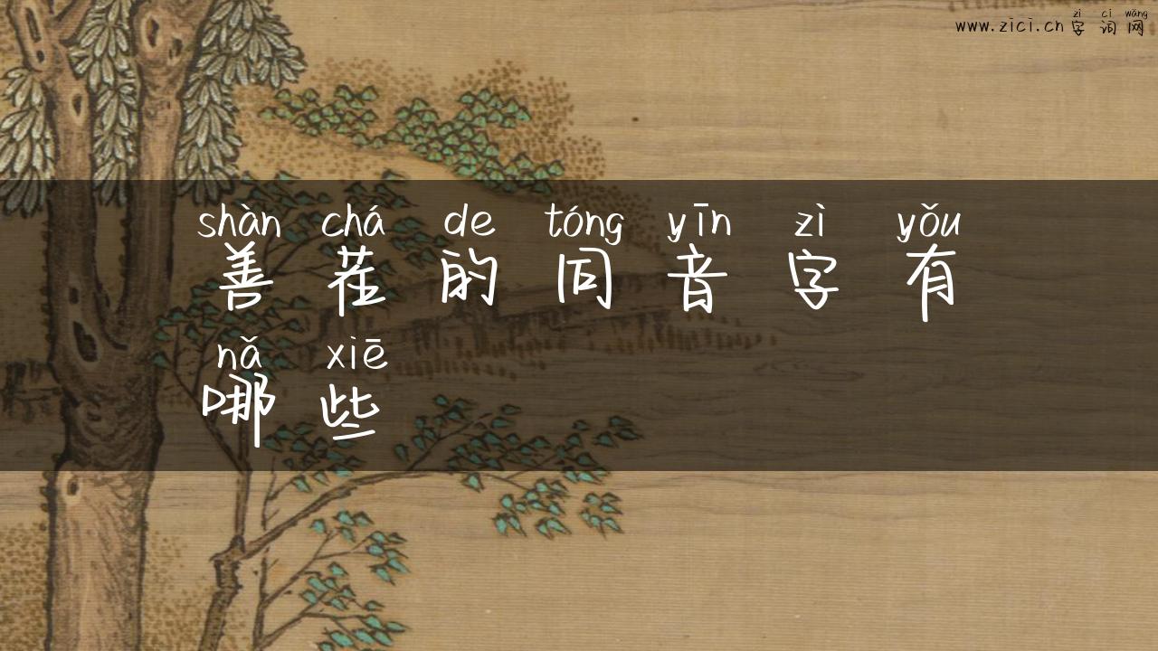 善茬的同音字有哪些