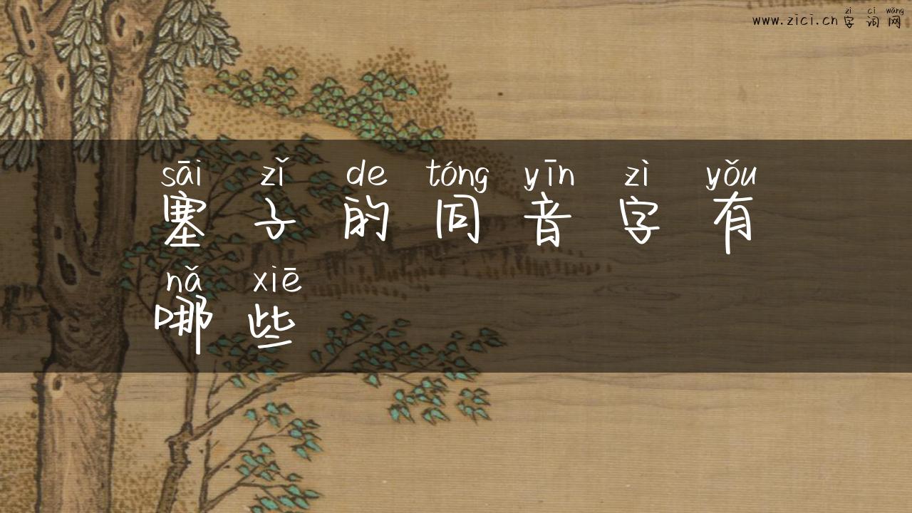 塞子的同音字有哪些