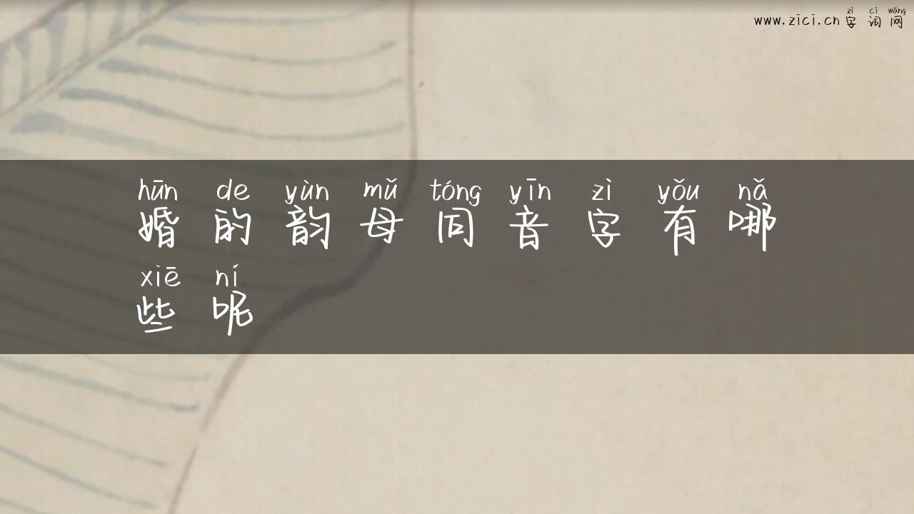 婚的韵母同音字有哪些呢