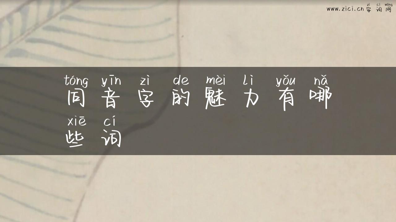同音字的魅力有哪些词