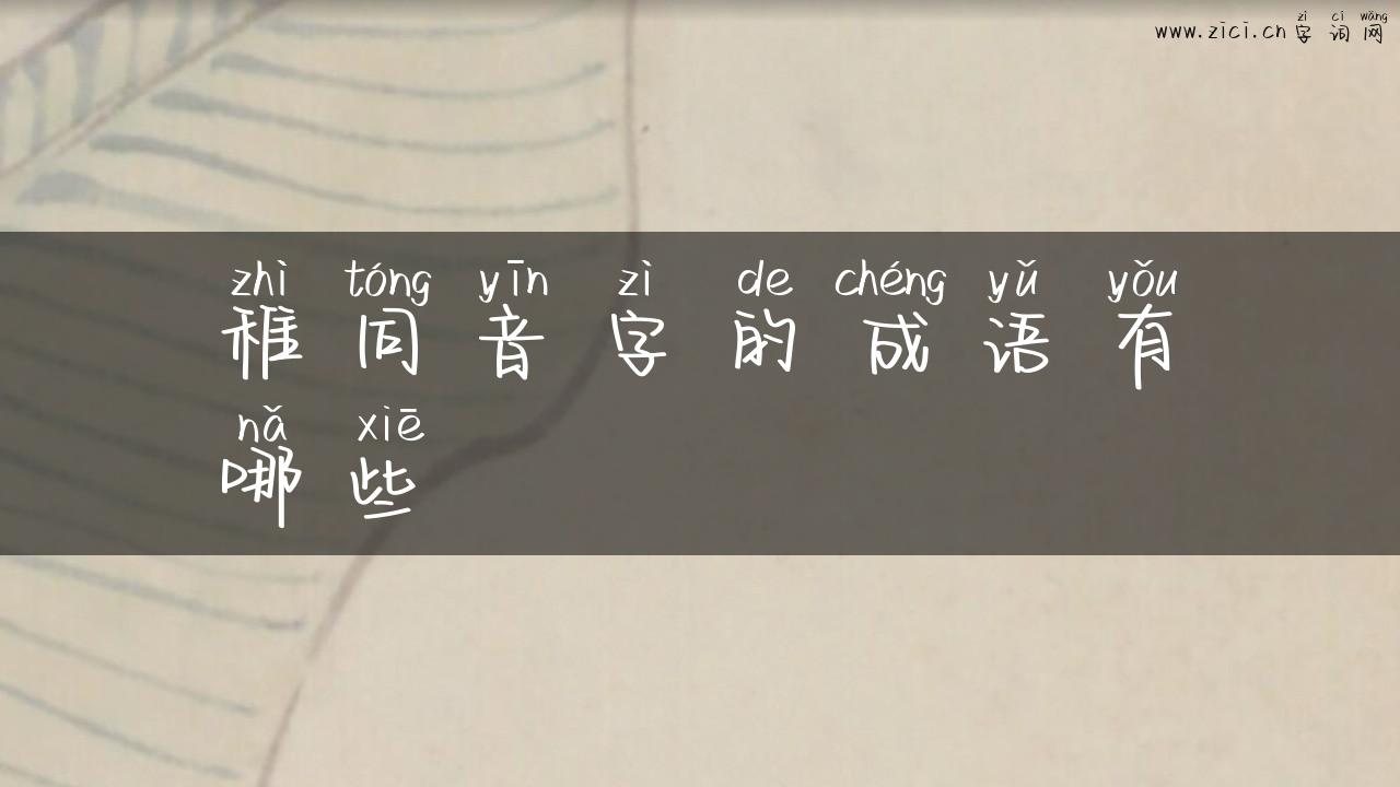 稚同音字的成语有哪些