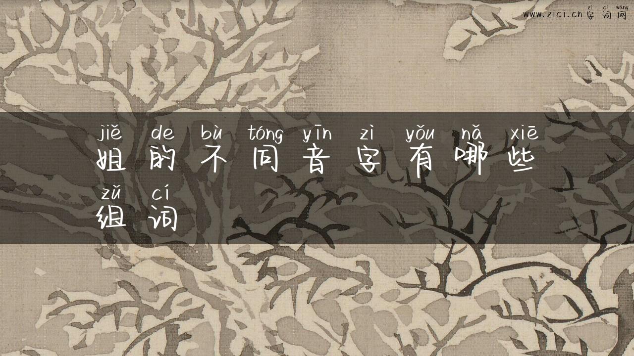 姐的不同音字有哪些组词