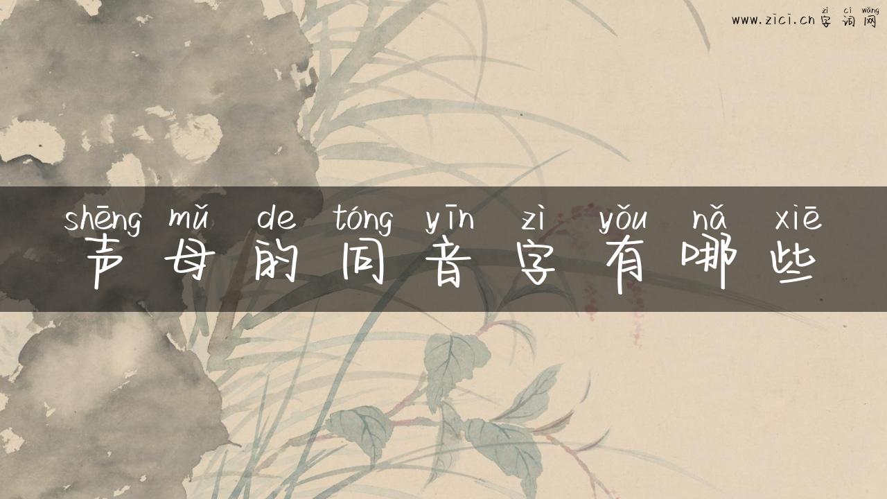 声母的同音字有哪些