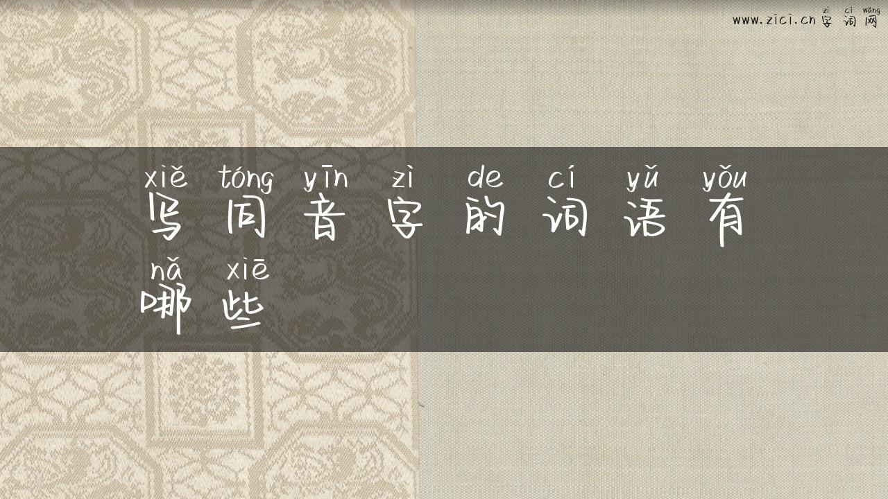 写同音字的词语有哪些