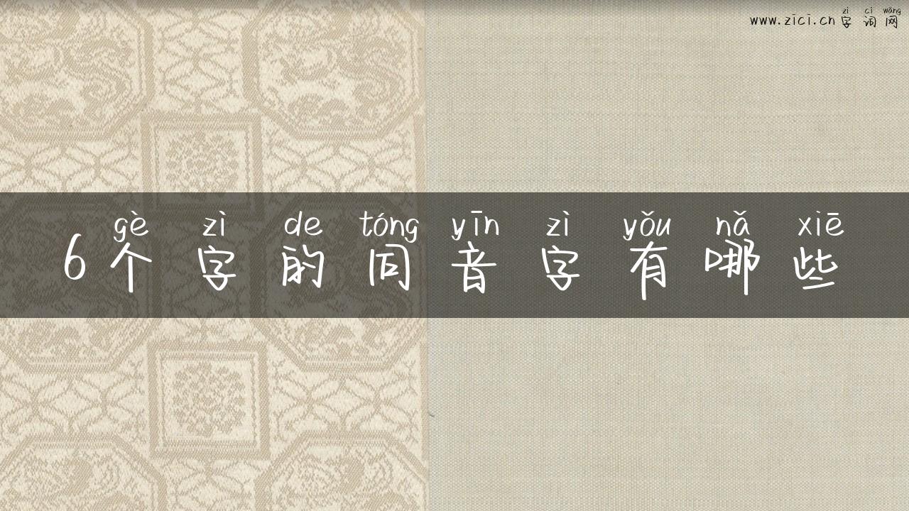 6个字的同音字有哪些