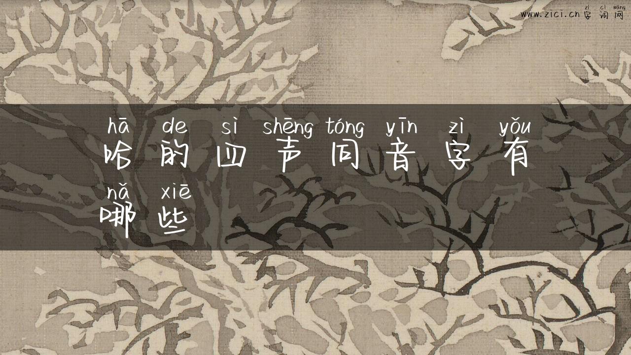 哈的四声同音字有哪些
