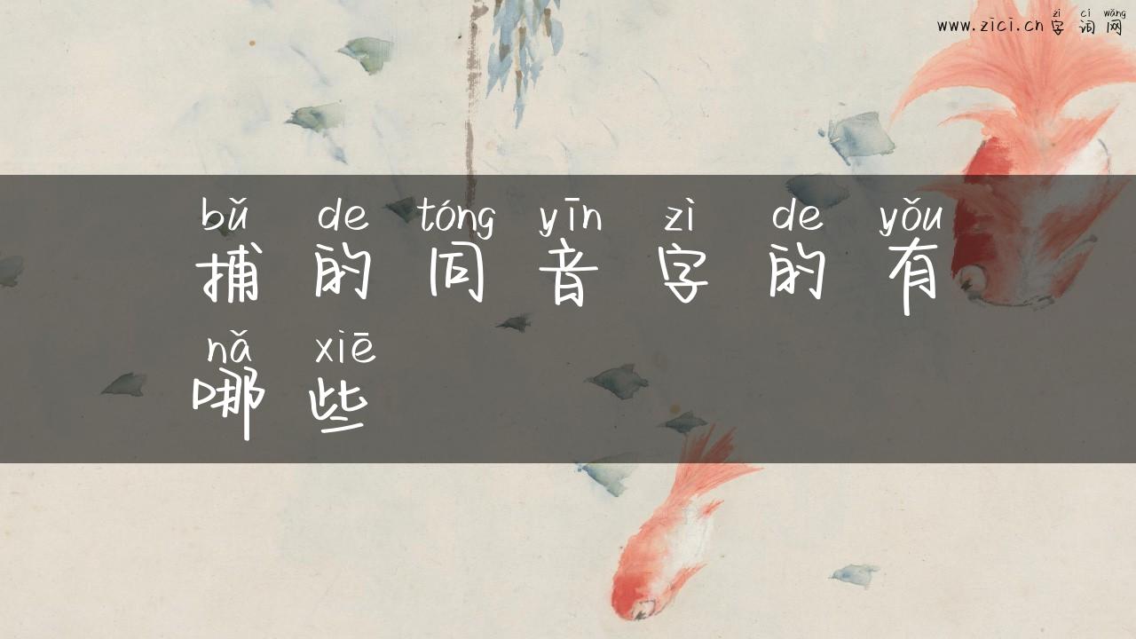 捕的同音字的有哪些