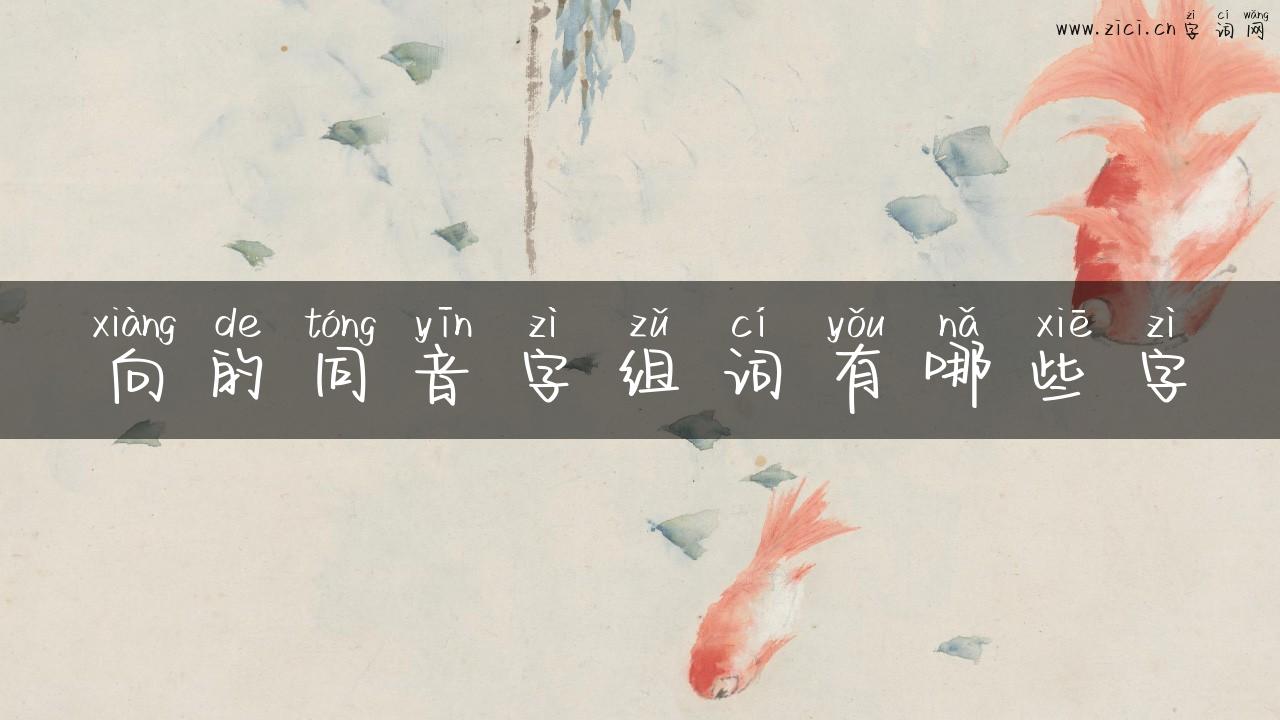向的同音字组词有哪些字