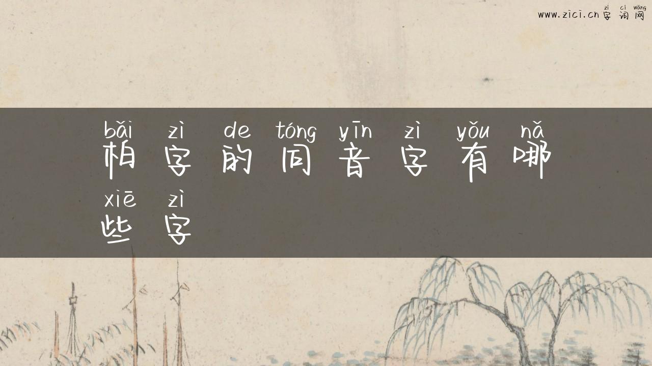 柏字的同音字有哪些字
