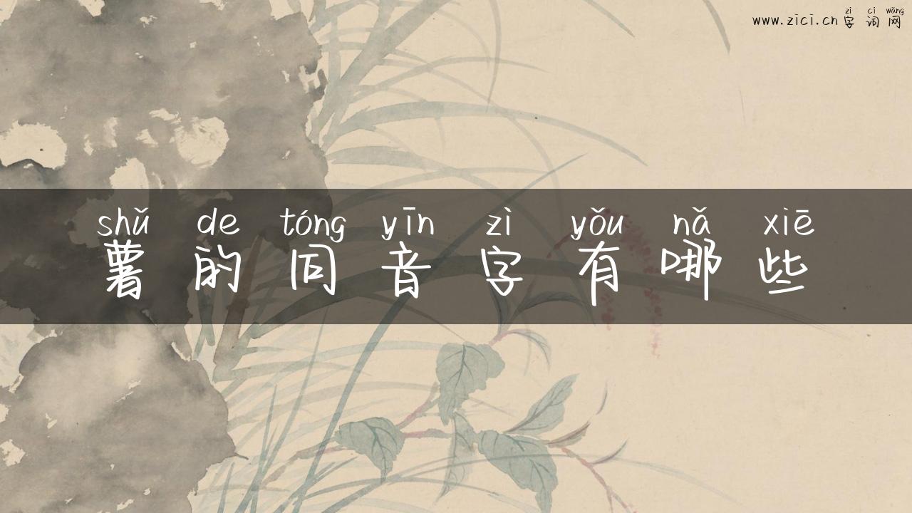 薯的同音字有哪些