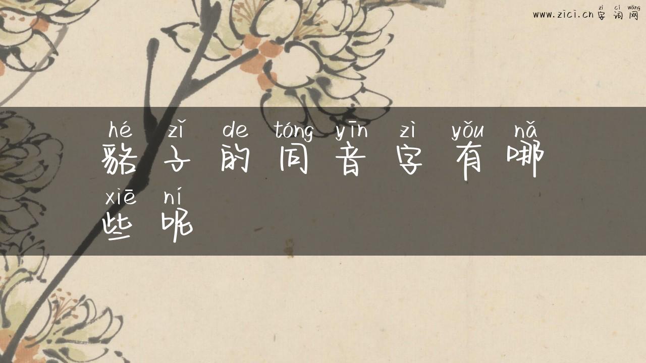 貉子的同音字有哪些呢