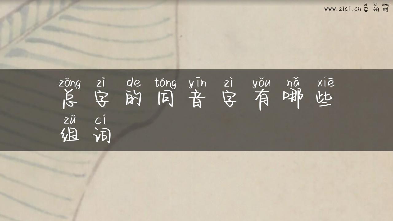 总字的同音字有哪些组词