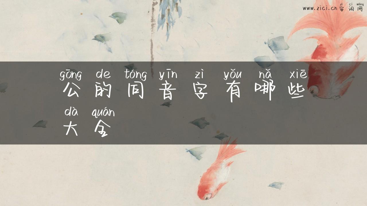 公的同音字有哪些大全