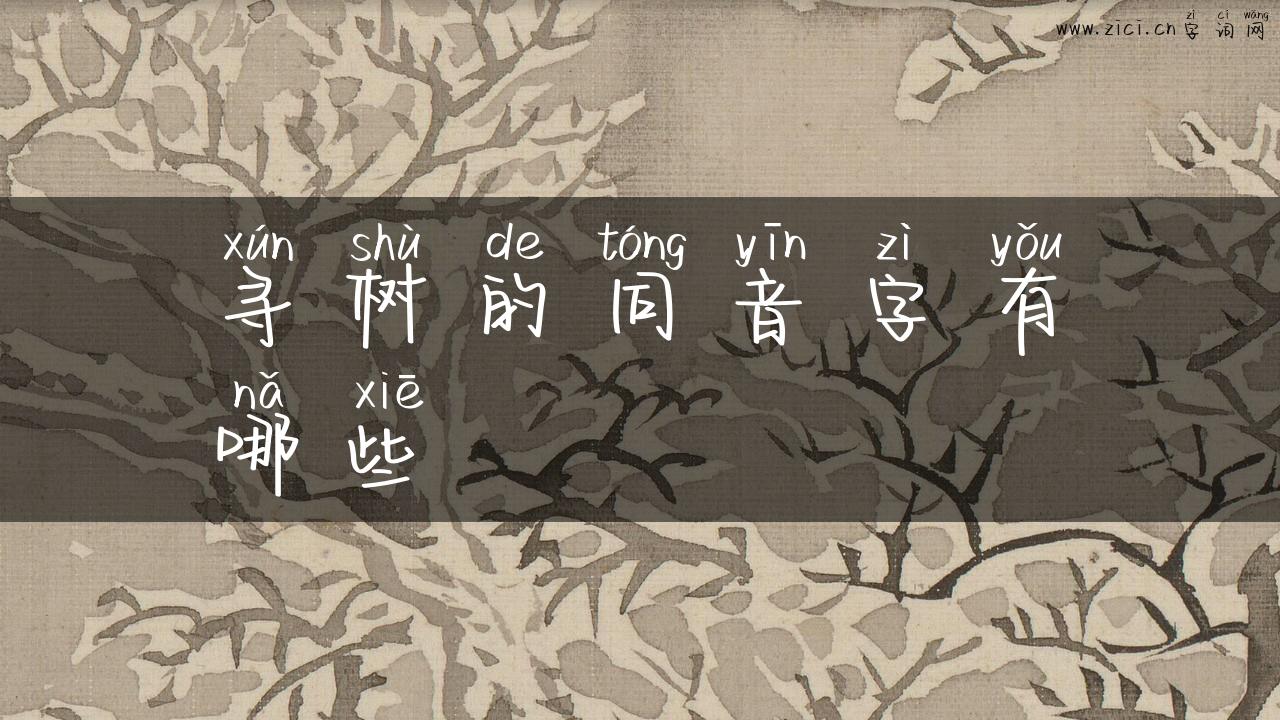 寻树的同音字有哪些