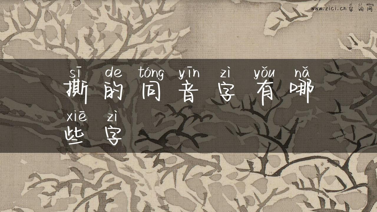 撕的同音字有哪些字