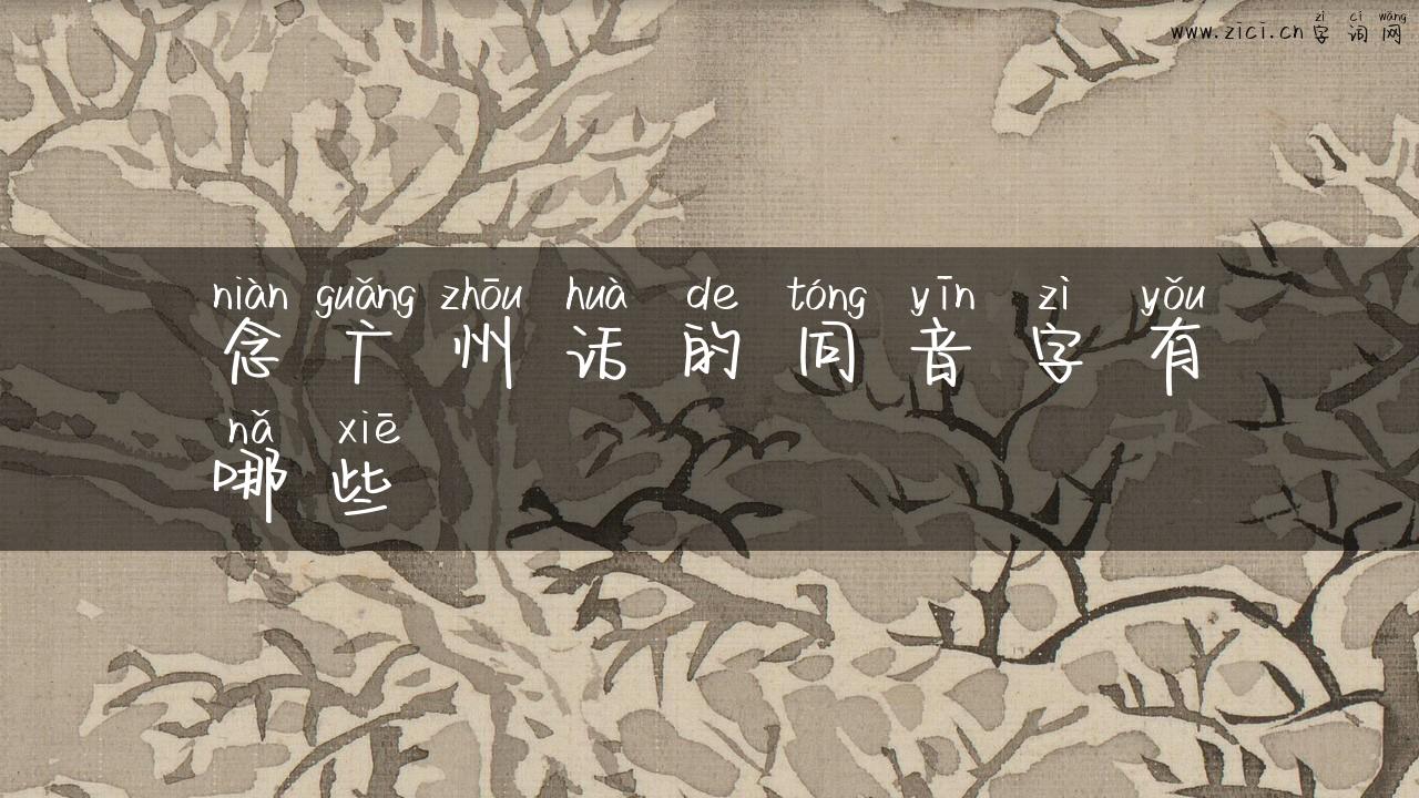 念广州话的同音字有哪些