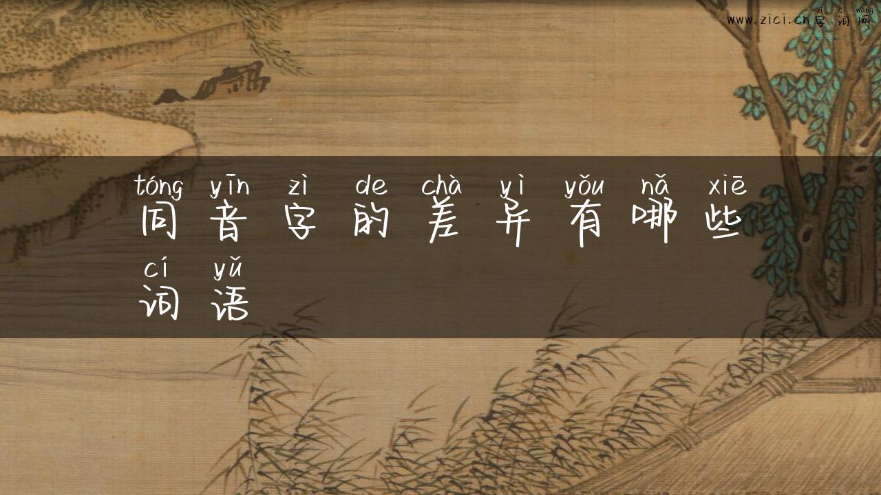 同音字的差异有哪些词语