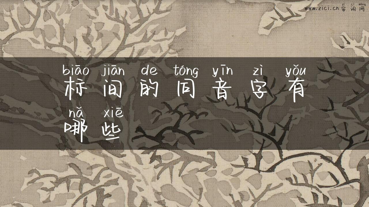 标间的同音字有哪些