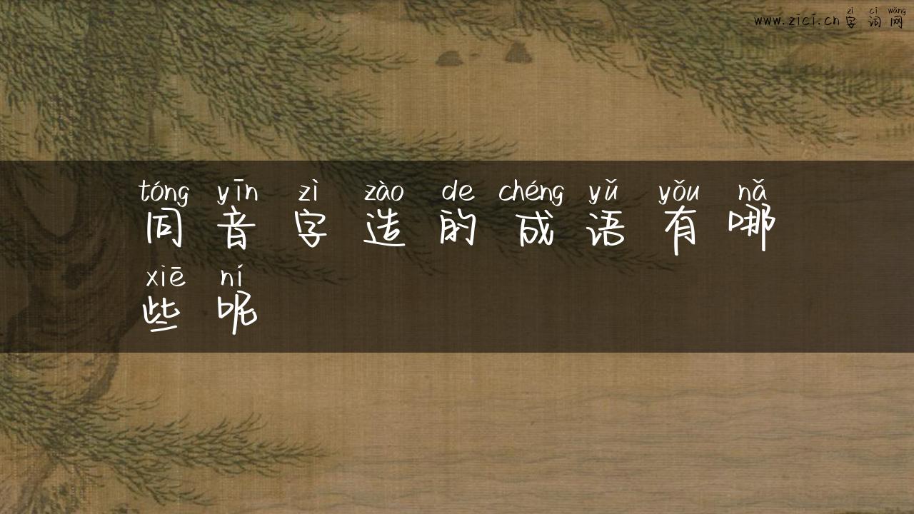 同音字造的成语有哪些呢