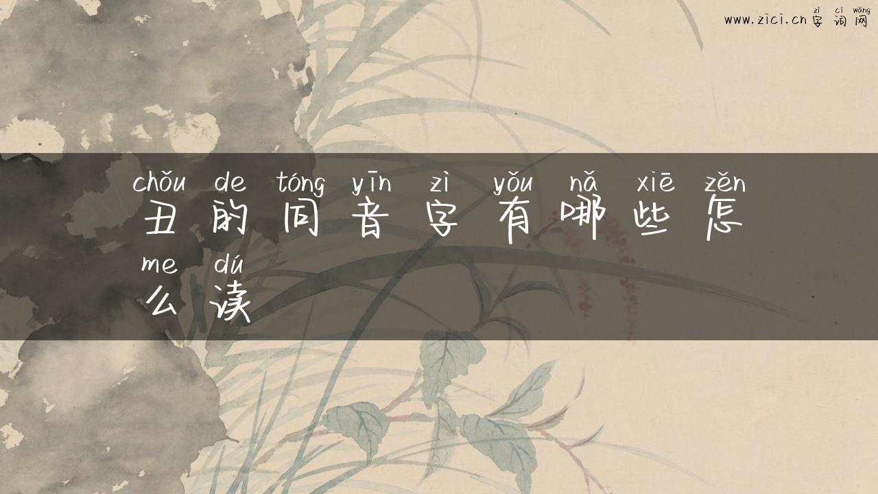 丑的同音字有哪些怎么读