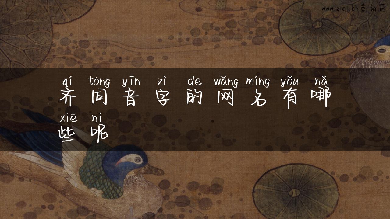 齐同音字的网名有哪些呢