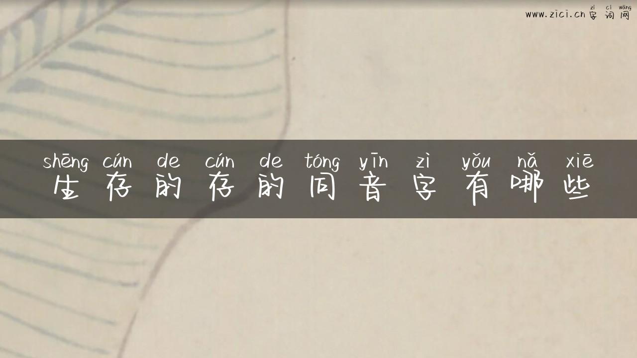 生存的存的同音字有哪些