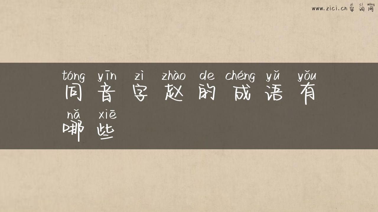 同音字赵的成语有哪些