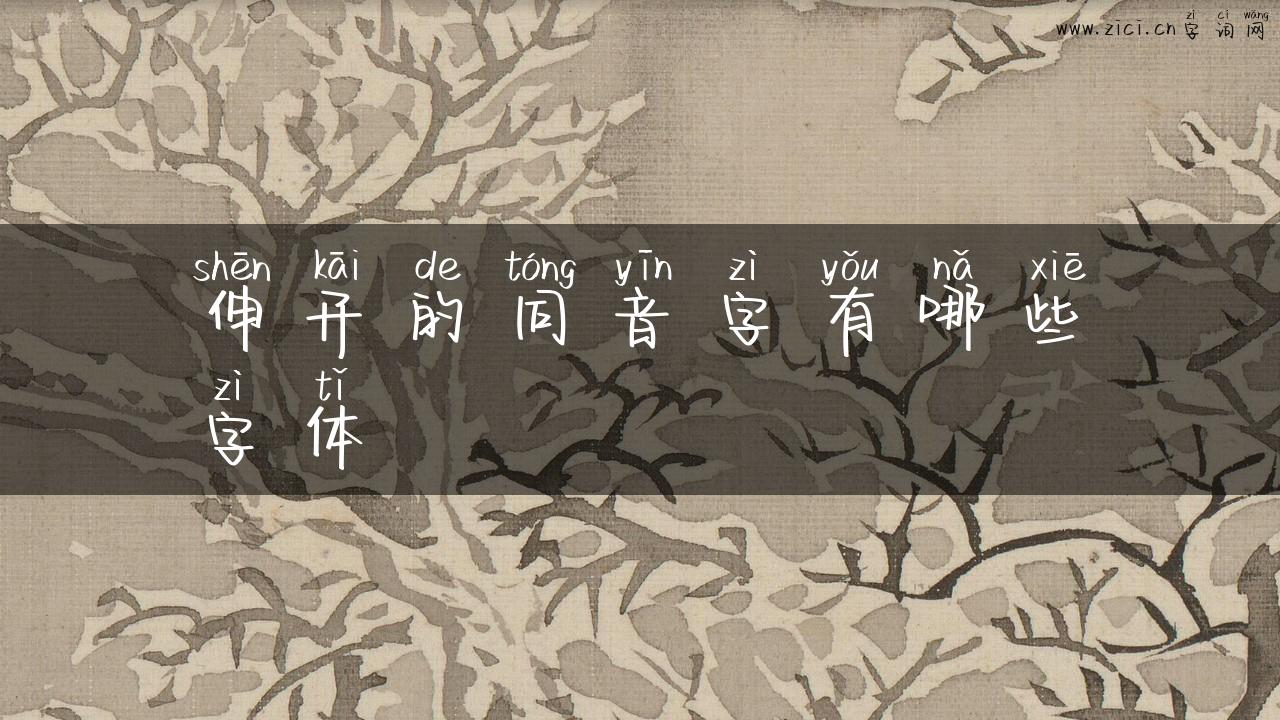 伸开的同音字有哪些字体