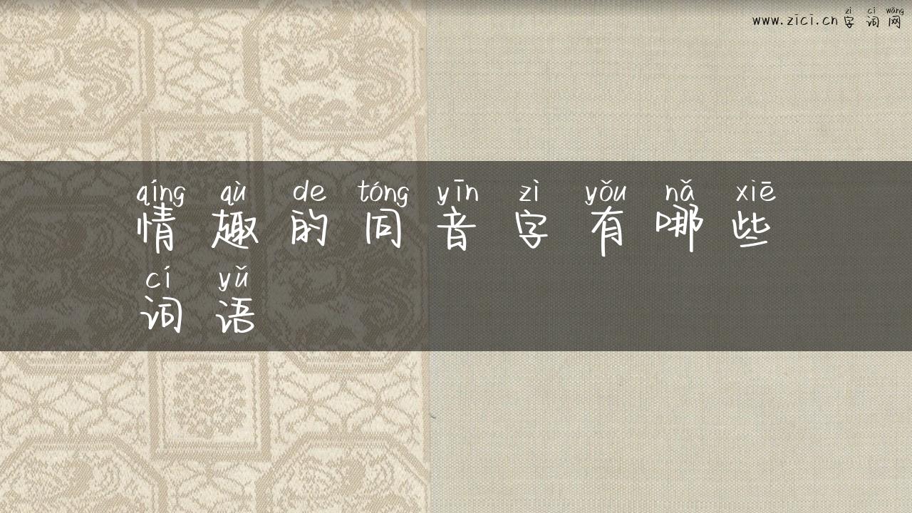 情趣的同音字有哪些词语