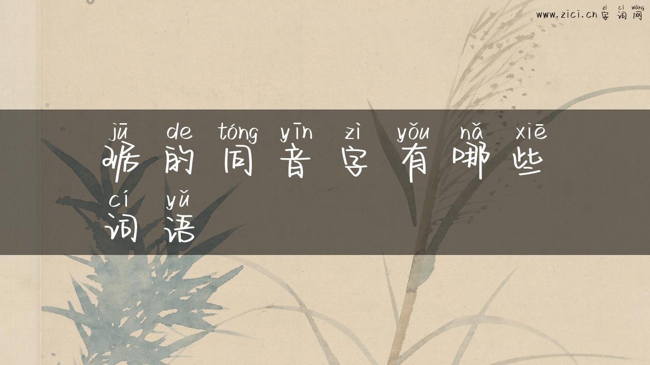 琚的同音字有哪些词语