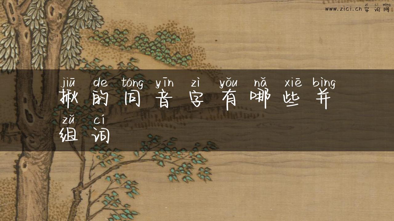 揪的同音字有哪些并组词