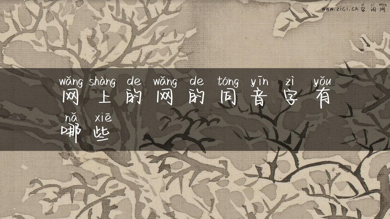 网上的网的同音字有哪些